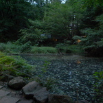R0025673.JPG