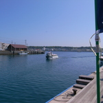 R0025745.JPG
