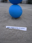 R0025920.JPG