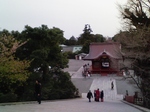img191.jpg