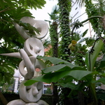R0024180.JPG